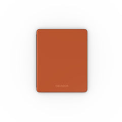 Orange Blaze - iPad Case