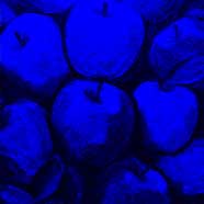 Blue Apples