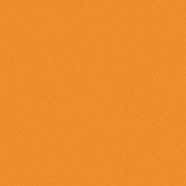 Burnt Orange