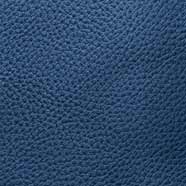 Indigo Armor