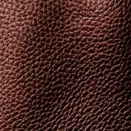 Leather Enigma