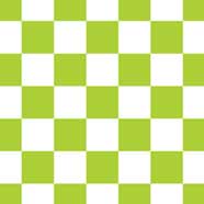 Limeade Checks - Laptop Sleeve