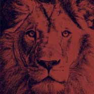 Lionheart