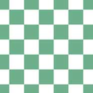Minty Green Checks - Laptop Sleeve