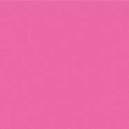 Pink Lady - Skinny Tumbler