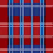 Plaid Passion