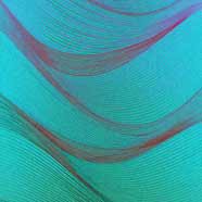 Ribbon Waves
