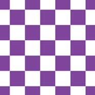 Vivid Lavender Checks - Laptop Sleeve