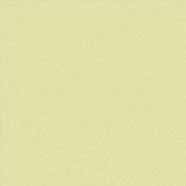 Yellow Jacket